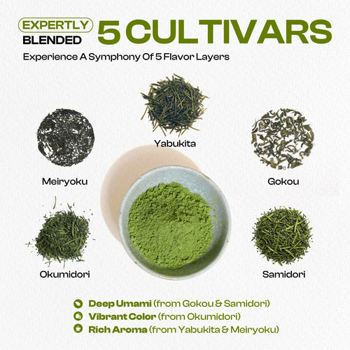 KISACHA Imperial Ceremonial Matcha – 100g/3.52oz Uji Blend